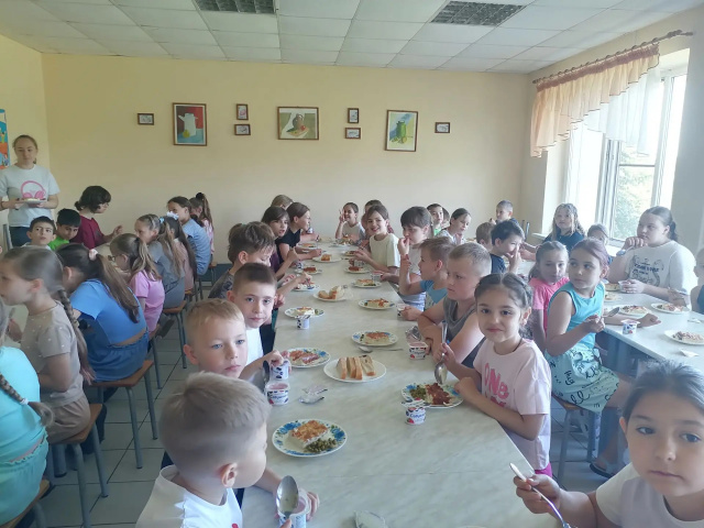 ДОЛ Василек