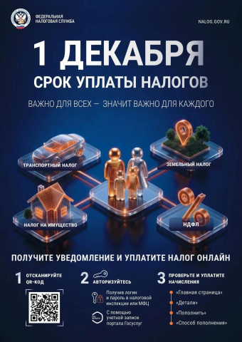 1 декабря - срок уплаты налогов